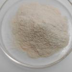 China Enzyme Tannase 250U/G-500U/G For Juice / Wine / Plant Extraction Enzymatic Hydrolysis Technology Guidance manufacturer