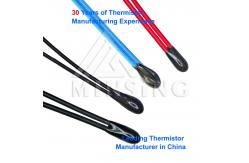 China Precision NTC Thermistor | Excellent Thermal Cycle Endurance | Widely Used in Automotive Industry supplier