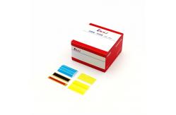China 2 Inch Polyimide Tape The Perfect Choice for High-Temperature Applications supplier