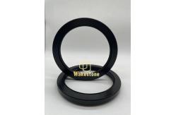 China TCN High Pressure Skeleton Oil Seal AP4282G supplier