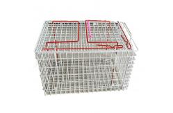 China 24x7x8'' Collapsible Live Animal Trap Cage 1x1 Inch Wire Mesh Galvanized supplier