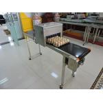 Easy Operation Egg Batch Number Printer , Expiry Date Printing Machine For Eggs for sale