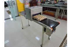 China Easy Operation Egg Batch Number Printer , Expiry Date Printing Machine For Eggs supplier