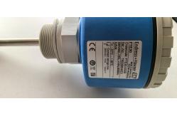 China Endress+Hauser Point Level Switch Soliswitch FTE30 Rotary Paddle Switch supplier