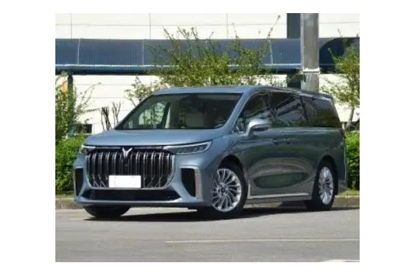 50km Range VOYAH Dreamer 2023 Dongfeng Ev Cars 6-8h Charging Time