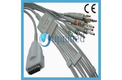 China Burdick Eclipse 10 lead ecg /ekg cable,Banana 4.0mm supplier