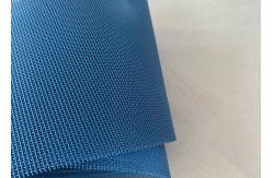 China White Blue 16903 Sludge Dewatering Machine Polyester Mesh Conveyor Belt supplier