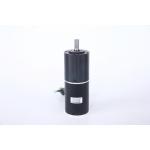 42MM Nema 17 Brushless 24V Dc Motor With Gearbox 42BLY203 Series For Lawn Mower for sale