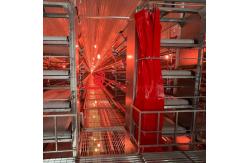 China Efficient Waste Transport Layer Chicken Cage System for Indonesia Farms supplier