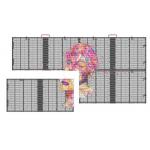 Transparent LED Screen Indoor P3.9-7.8 Full Color SMD Curved Led Video Wall Glass For Showcase for sale