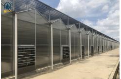 China Indoor Farming Polycarbonate Green House For Fast Growing Crops supplier
