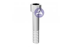 China Dentis S- Cleand® Dental Implant Abutment Titanium Screw Fits NP / RP(WP) supplier