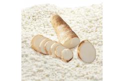 China 6L/bag Low Dust Cassava Cat Litter Easy To Scoop Solution supplier