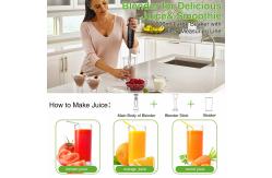 China Powerful Portable Hand Blender Black 120V - 240V With 12 Adjustable Speed Settings supplier
