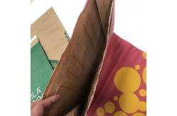 China Custom Printed Multiwall Paper Bags Kraft Bag With Built In PE supplier