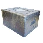 Styrofoam Foldable EPP Box Faltbar Waterproof Insulated Thermal for sale