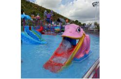 China Kids Mini Pool Slide Whale Frog Shaped Fibreglass Swimming Pool Slide supplier