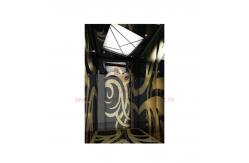 China Black Titanium Series Hydraulic Passenger Elevator For Passenger Lift supplier