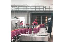 China ISO9001 Fresh Tomato Processing Line For Concentrated Paste supplier