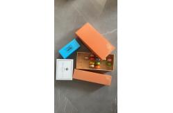 China 6 Pack 12 Pack 24 Pack Plastic Macaron Packaging  For Any Gathering supplier