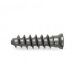 Anterior Rescue Screw Orthopedic Implate Titanium Surgical Screws for sale