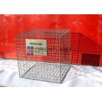 Large Pvc Coated Welded Gabion Baskets 75×75mm Rectangular Hole Shape for sale