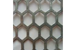 China Economical Hexagonal Mesh Sheet Rust Resistant For Decoration supplier