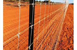 China Galvanized Grassland Wire Fence Cattle / Sheep / Field / Deer Farm Fence supplier