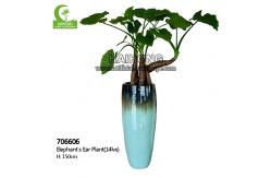 China High Simulation Natural Elephant's Ear Plant With Beautiful Pots supplier