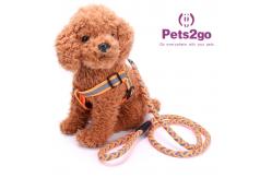 China Pet Training  Dog Shock Collar Puppies Tools Basic Concepts Learning Curve supplier