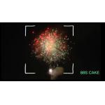 Mandarin Customized New Year Fireworks Petard 88 Shots Pyrotechnic Chinese Salute for sale