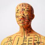Flexible Chinese Medicine Acupuncture Model For Medical Teaching for sale