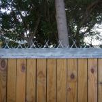 PVC Coating Barb Length 90mm Wall Security Spikes For Fence Tops 1m 1.25m 1.5m for sale