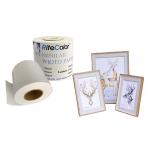 Micro Porous Minilab Instant Dry Inkjet High Glossy Photo Paper For Fuji DX100 for sale