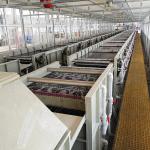 48 Wires Zinc Coating Machine Electro Galvanizing Φ0.7mm-Φ3.0mm wire