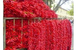 China New Crop 4-7 Cm Asian Dried Chili Peppers Spicy Popular In Sichuan Restaurants supplier