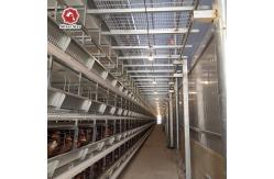 China Galvanized Poultry Broiler Cage Laminated Multi Level Prefabricated supplier