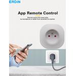 16A 20A Smart Light Socket Voice Activated Wireless Electric Socket Overload Protection