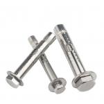 Stainless steel Drop in expansion anchor hex bolts internal expansion bolt Sleeve Wedge Anchor Bolt for Wall for sale