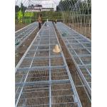 Nobler Greenhouse Grow Beds New Premium Stationary Growing Bench Systems for sale