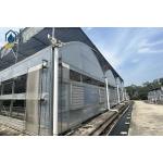 Multi Span Cultivation Hydroponic System Greenhouse For Year Round Farming for sale