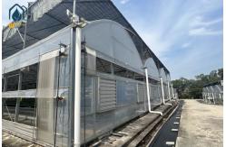 China Multi Span Cultivation Hydroponic System Greenhouse For Year Round Farming supplier