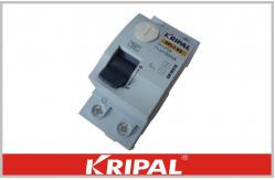 China Residual Current Device Mini Circuit Breaker 2 Pole RCCB 16A 25A 40A 63A supplier