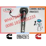 Engineering Machinery QSK19 Truck Engine System Accessories 0986435615 Diesel Fuel Injector