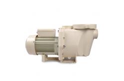 China Safety Swimming Pool Water Pump With Good Water Proofing Property supplier