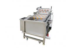 China Fresh Mango Brush Roller 500kg/hour Vegetable Washing Machine supplier