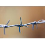 Garden Anti-Theft 50kg Double Strand Traditional Twist Barbed Wire Roll for sale
