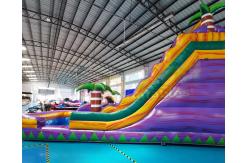 China Playground Bounce House Inflatable Water Slide With Pool supplier