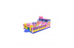 China Pink Purple Large Slides Inflatable Bouncy Castle Kids Playground supplier