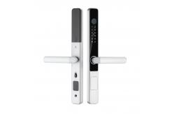 China TTlock Tuya Unlock Biometric Lock S608 Zinc Alloy IP65 Waterproof Smart Lock supplier